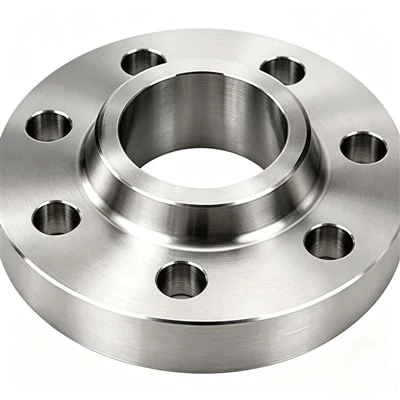 Flange forjada em aço inoxidável